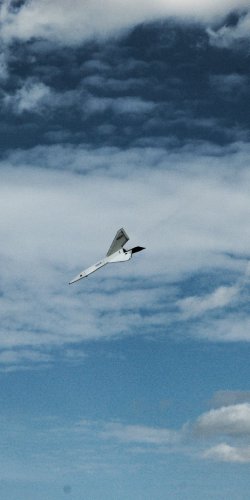 dsc_0034 kouzelna hulka - let rw